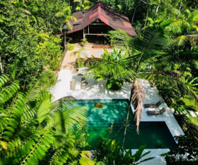 Casa Kiwi Lodge